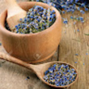 Meet your Posher, Michaela